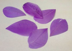 Перо HJ-007, фиолетовое, 6 см, 1 шт