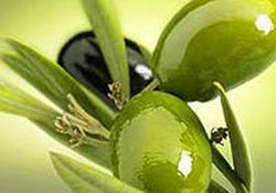 Оливковый пищевой краситель, 10 мл