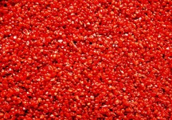 Пыльца гранулированная, тёмно-красная, 0,1 мм, 20 мл