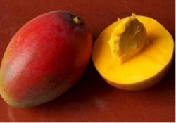Масло манго, рафинированное, 100 г