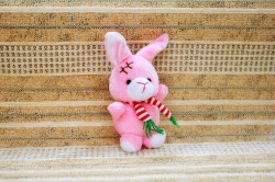 Кролик, шарф красный с белым, 6 см