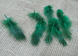 Перья в горошек, зеленые с черным, 5*2 см, 10 шт