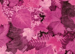 Бумага для декопатча Decopatch, листья осень розовые