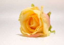 Роза, желтая №4, 4,5 см
