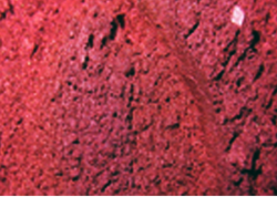 Пигмент косметический сухой, вишневый, Франция, 5 г