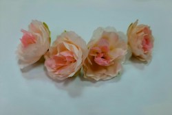 Роза чайная,насадка, кремовая/розовый